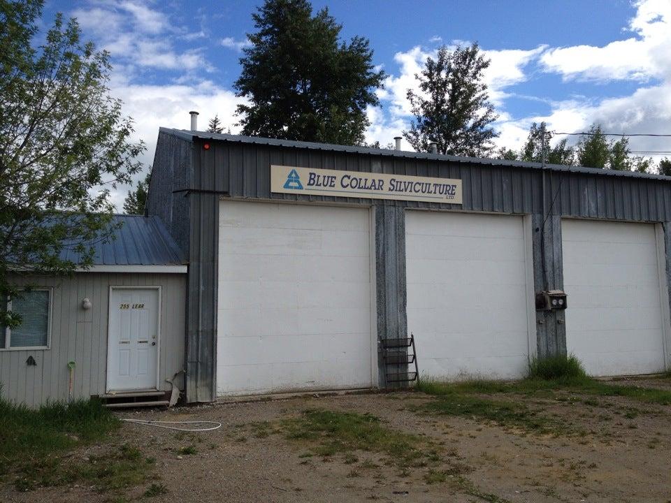 Blue Collar Silviculture Co