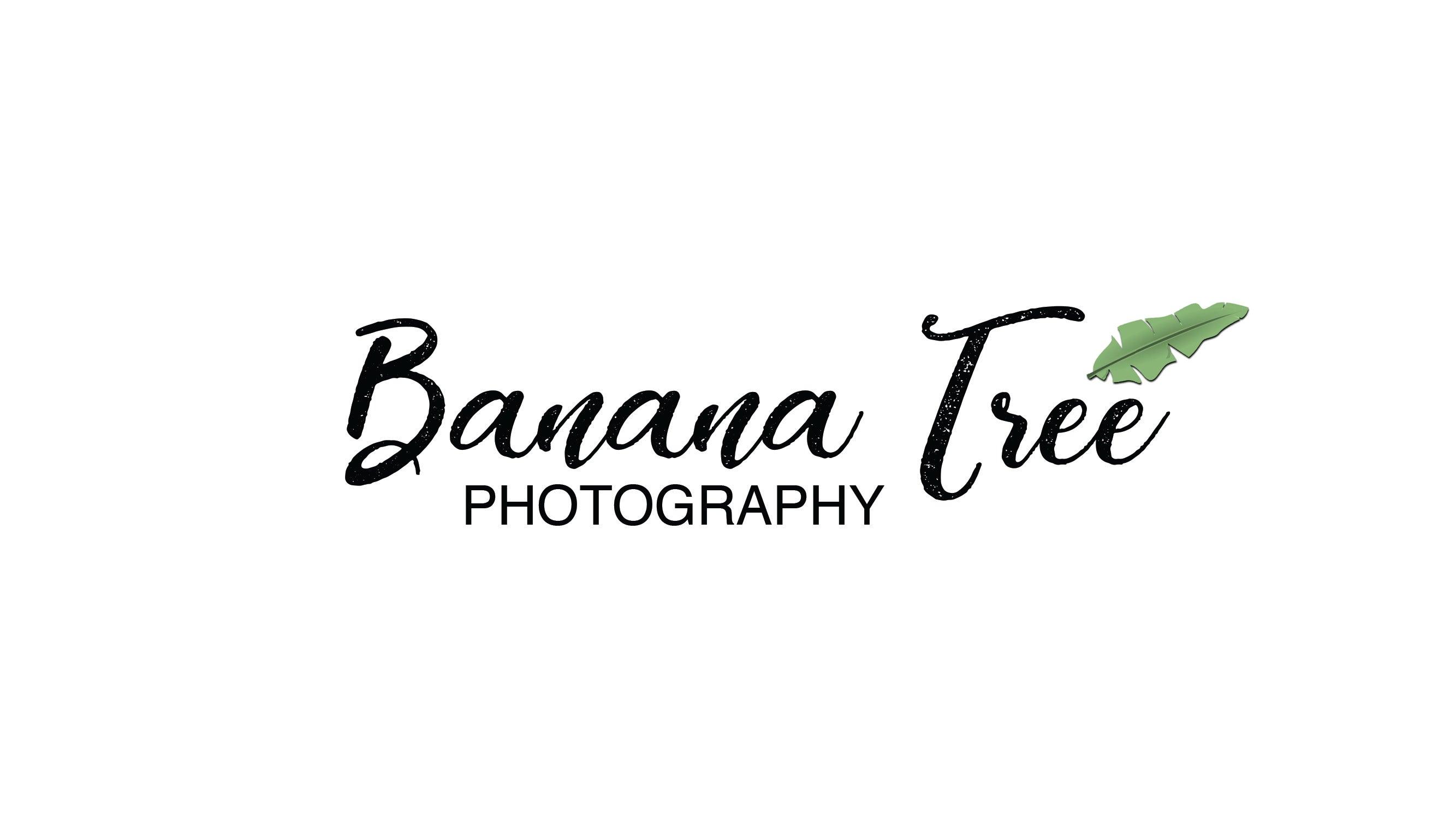 Banana Tree Photography