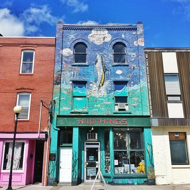 Wild Things