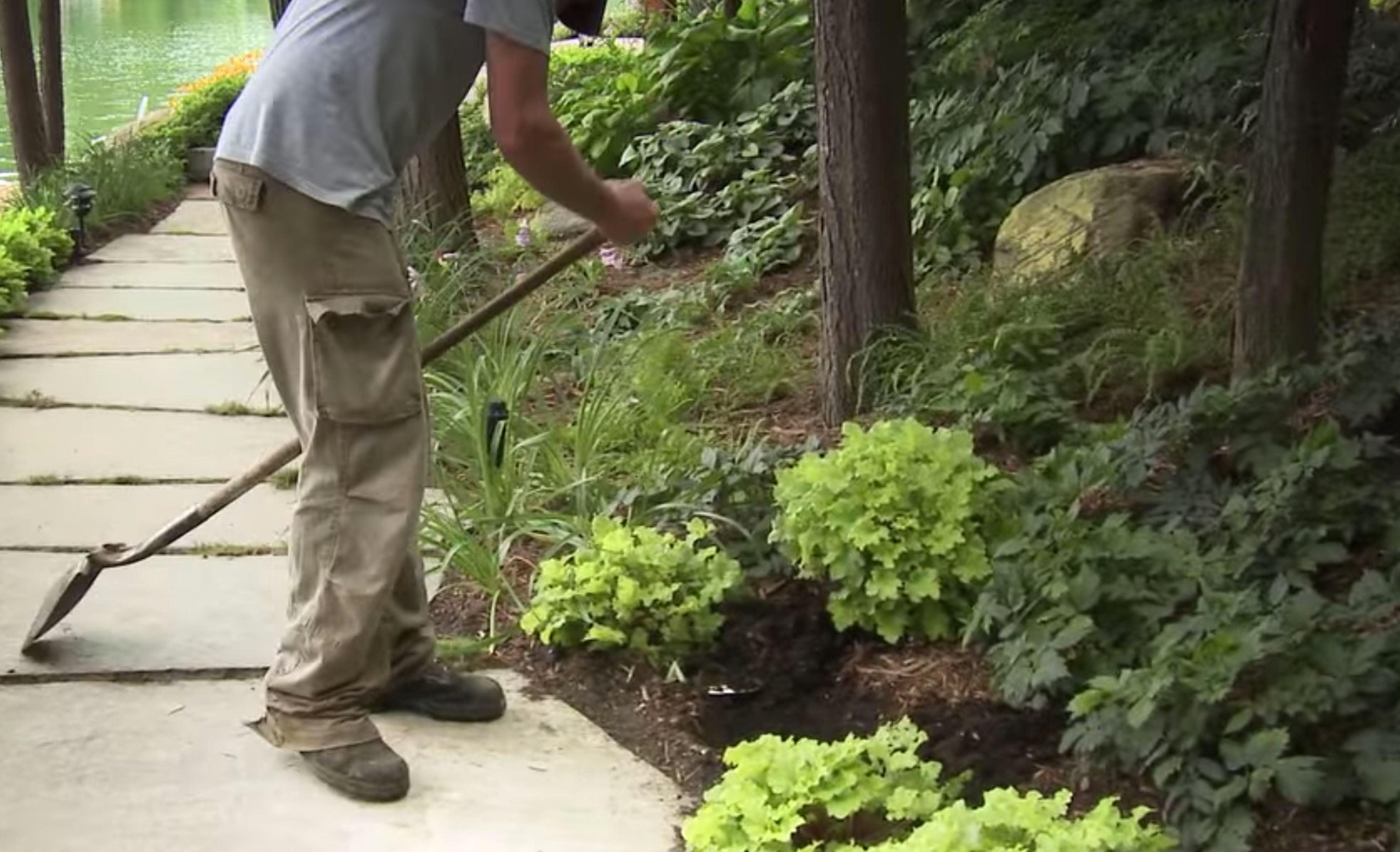 Natural Images Landscaping LTD