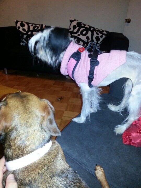 Unicorn Bike Gang Headquarters