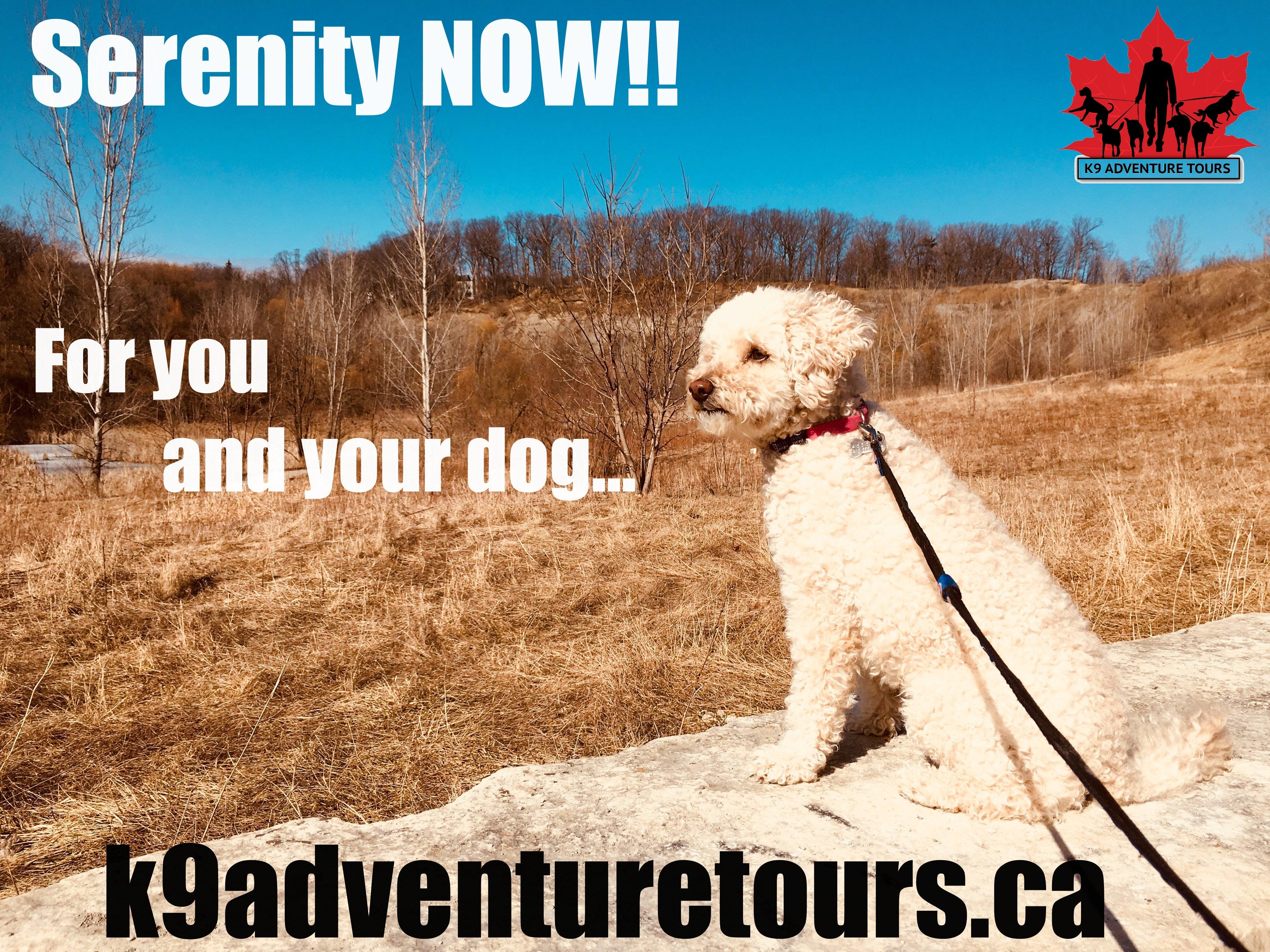 K9 Adventure Tours