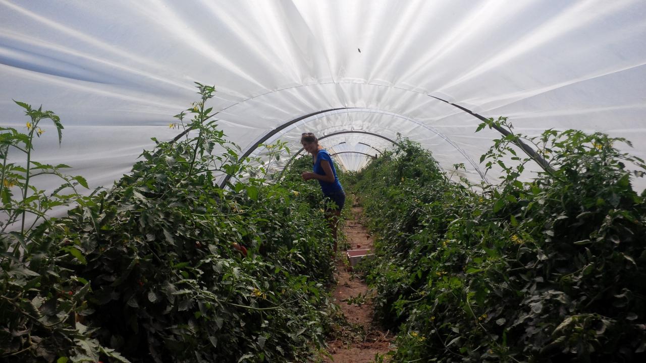 Covert Farms Family Estate