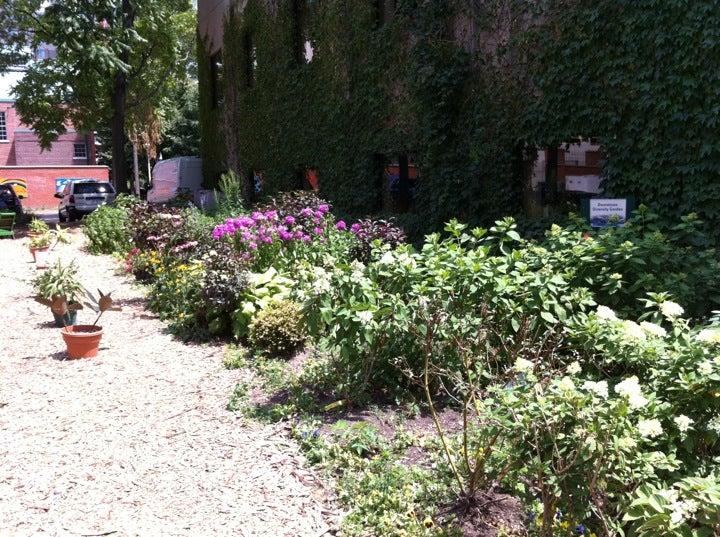 Downtown Diversity Garden
