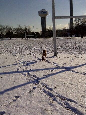 Tubs & Gee Gage Rugby Field