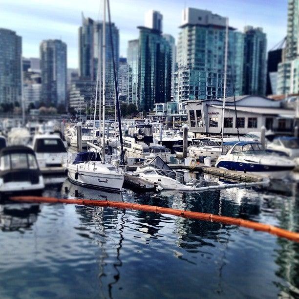 Coal Harbour Fine Cleaners