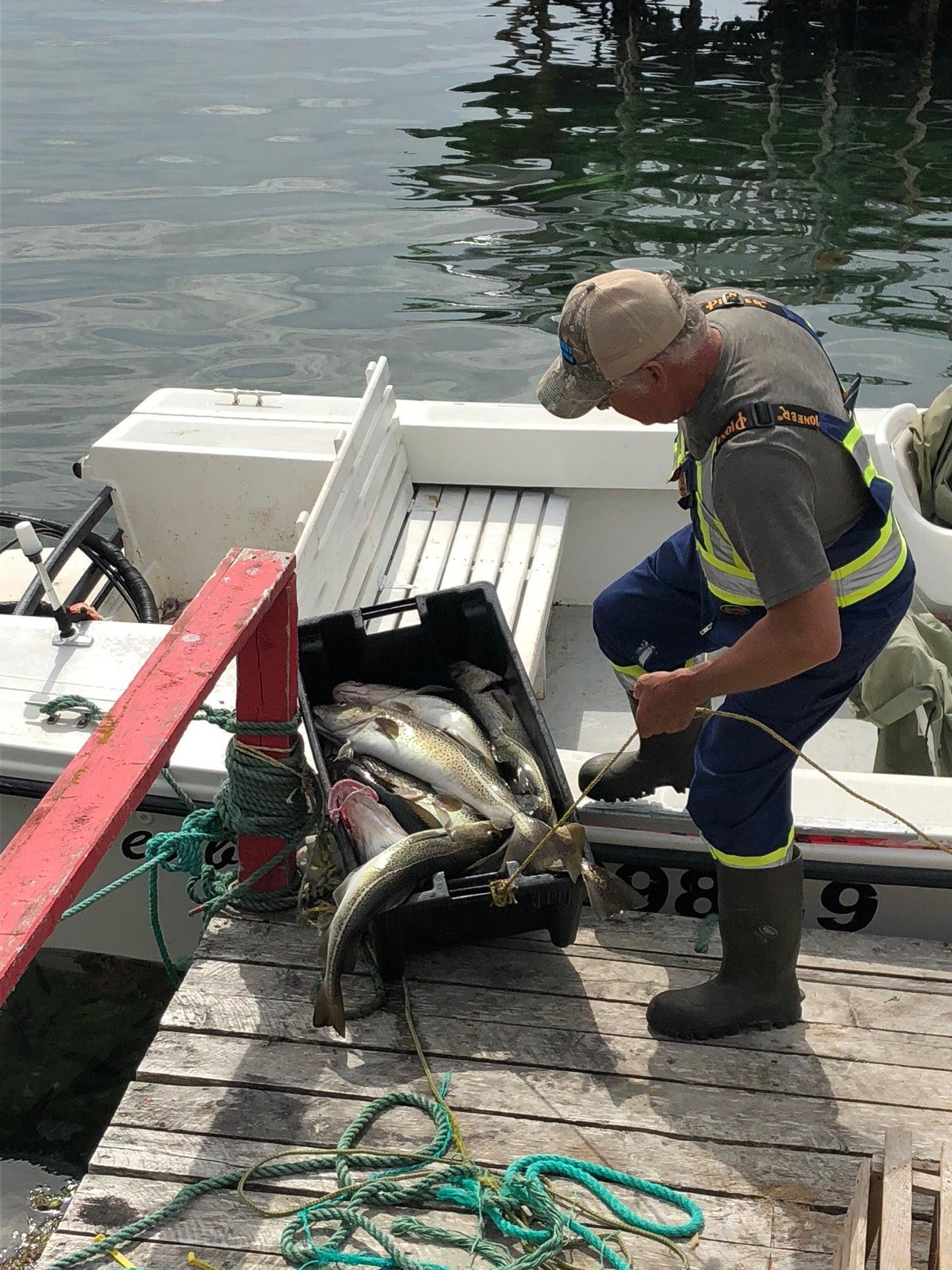 Prime Berth Fishing Museum