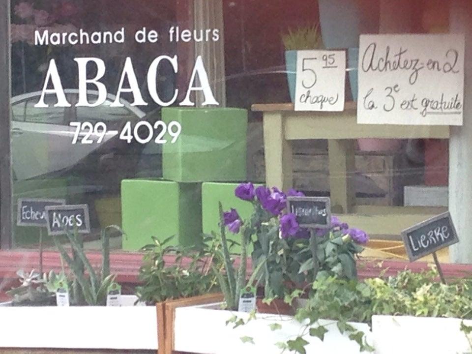 Fleuriste Abaca