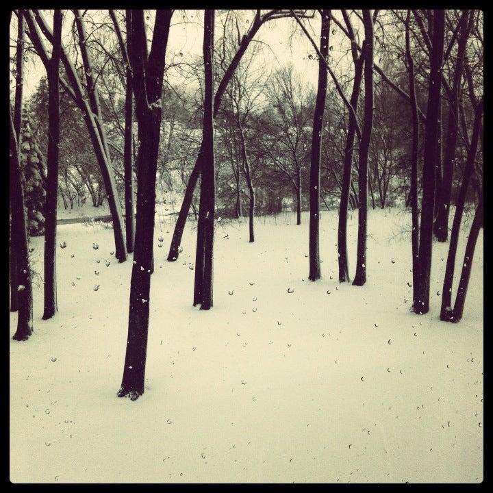 Bibliotheque Municipale