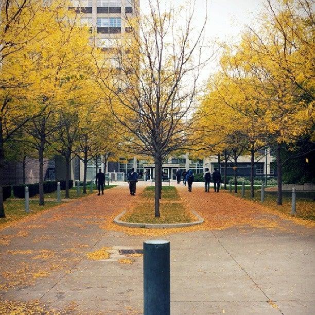 McLennan Physical Laboratories