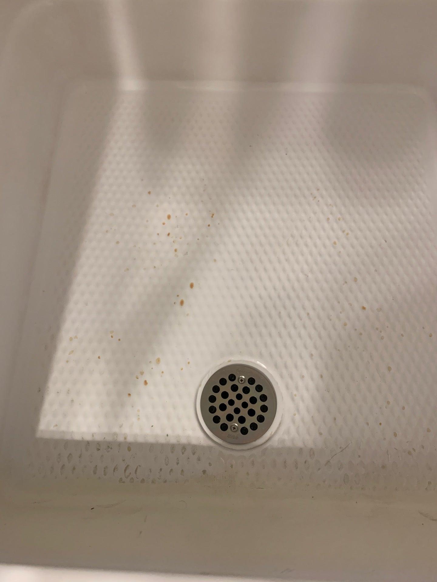 Super 8 By Wyndham Courtenay