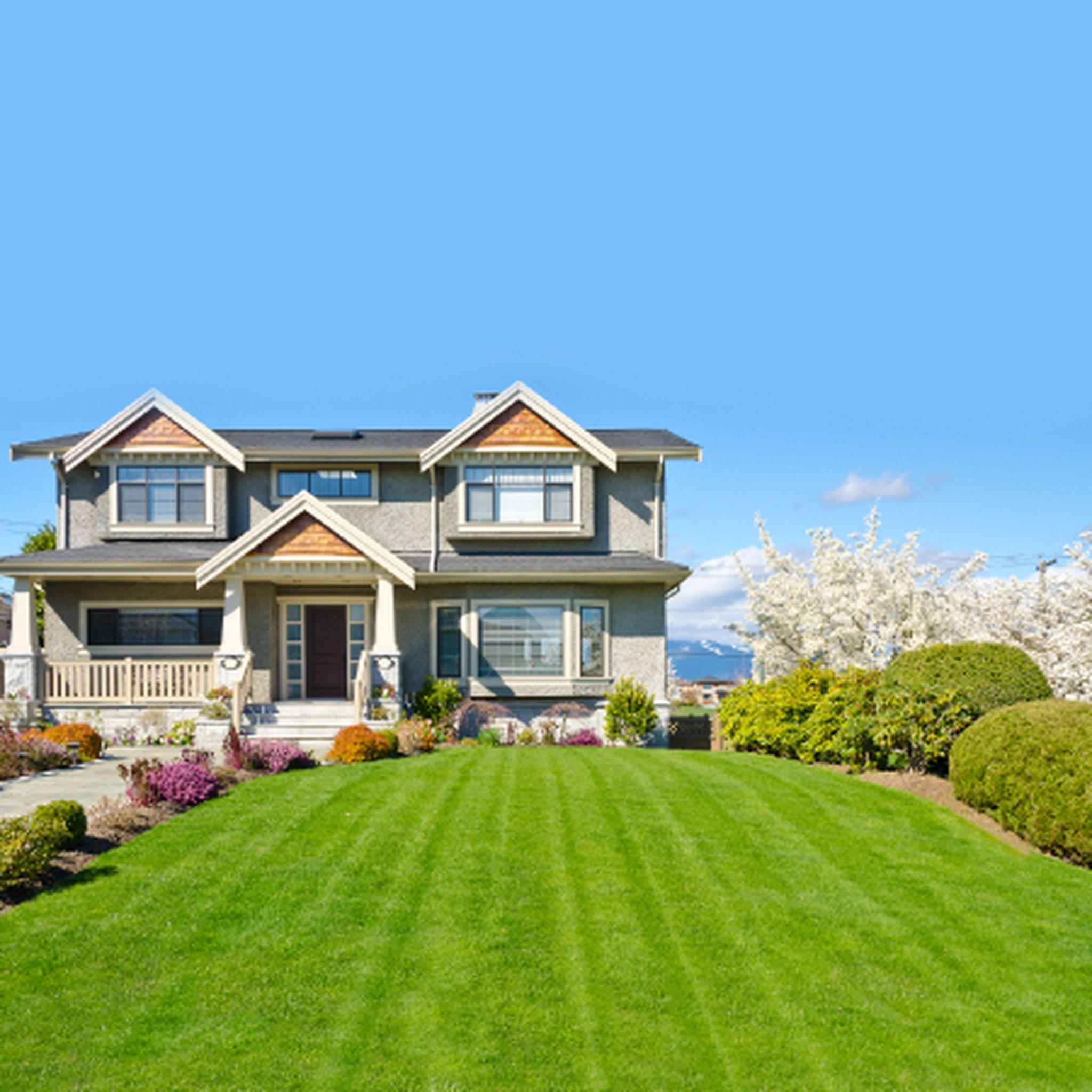 Mr Lawnmower & Lancscaping Service