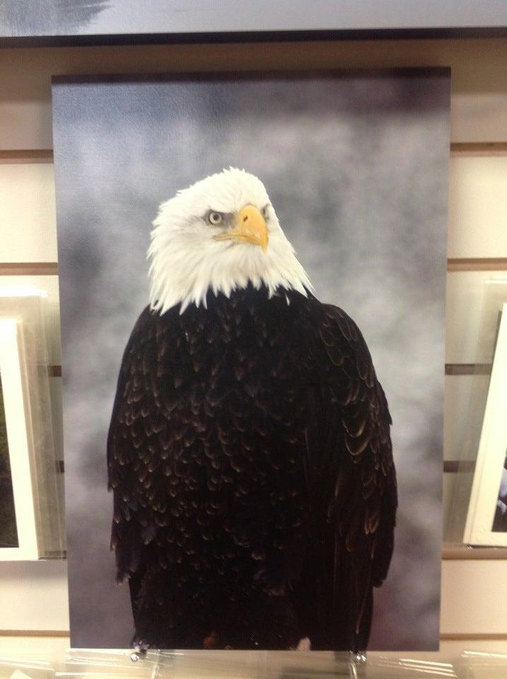 Red Raven Art Gallery & Gifts