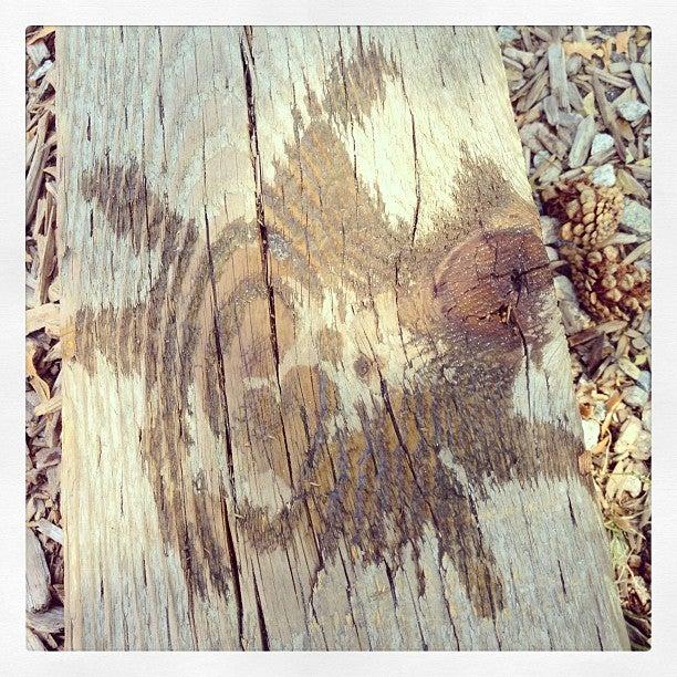 Raycam Cooperative Centre