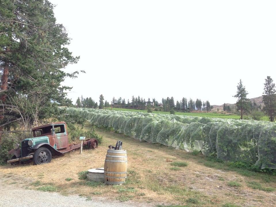 St Hubertus Estate Winery