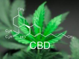 Bodystream Medical Cannabis Clinics