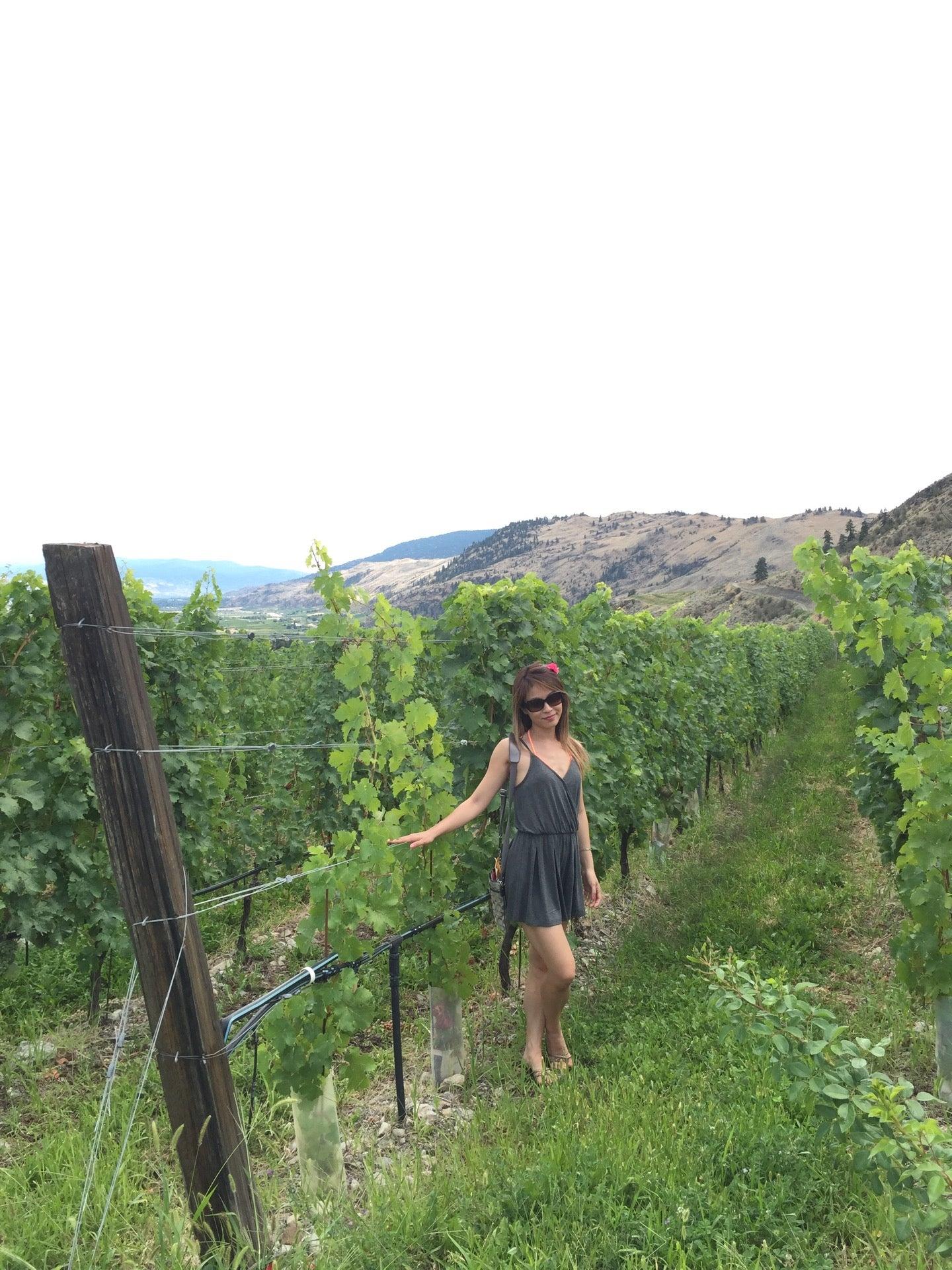 Culmina Family Estate Winery