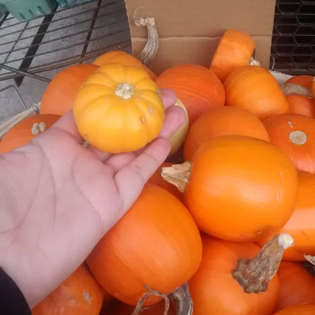 Dave Young Fruit Market