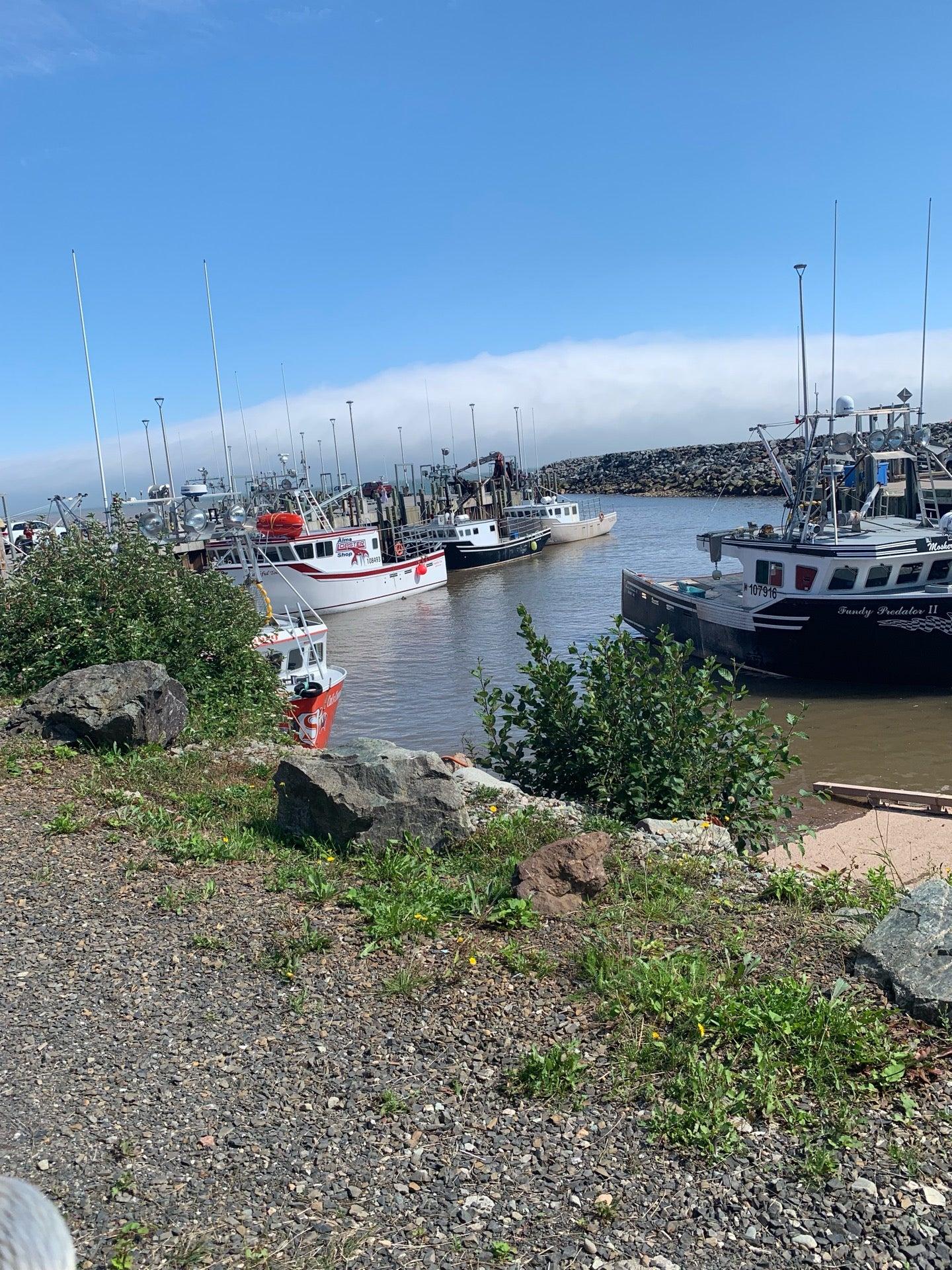 Tipsy Tails Restaurant