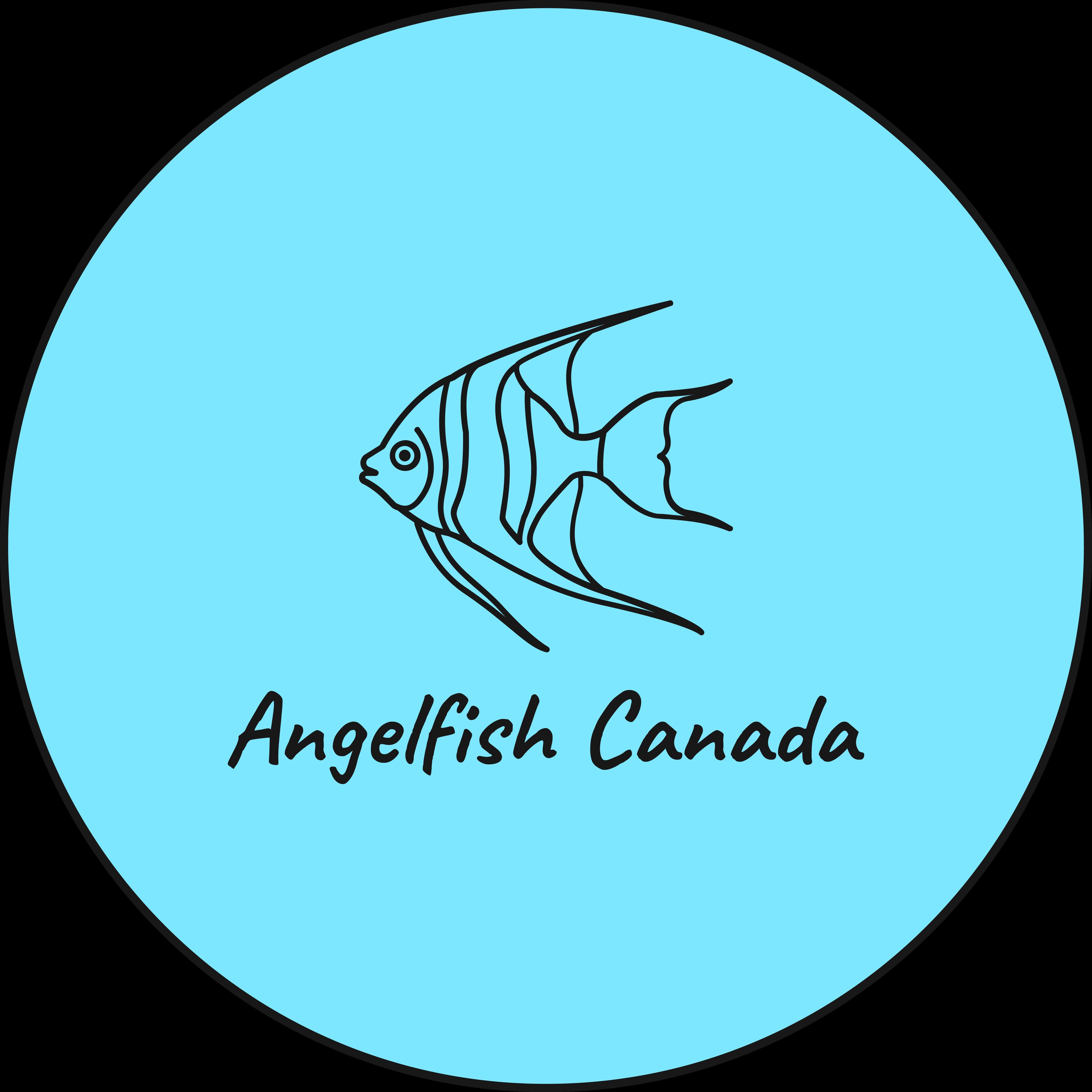Angelfish Canada