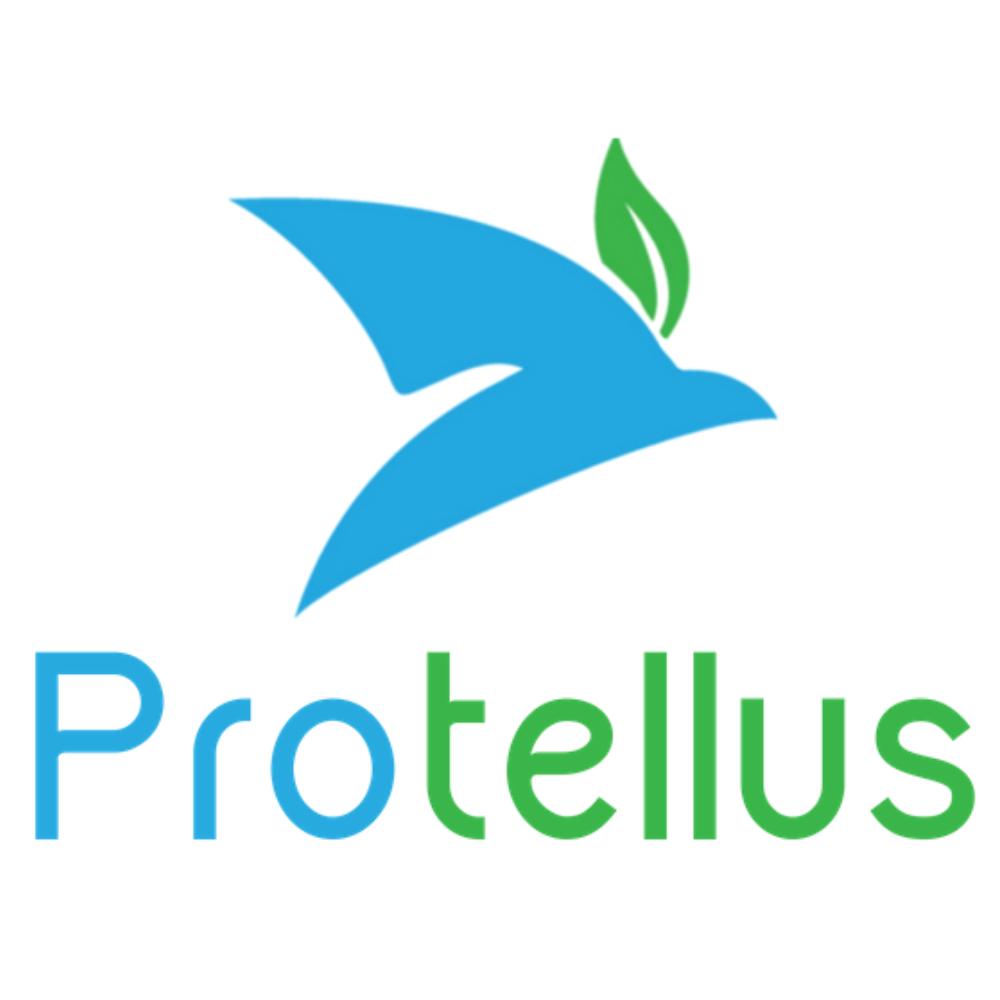 Protellus