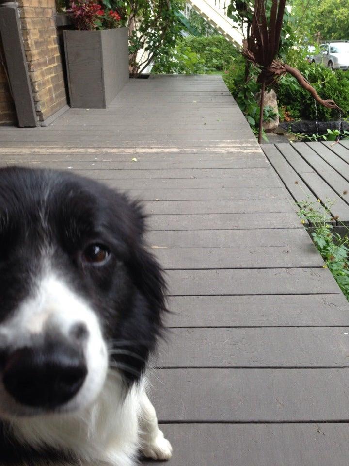 Fleuriste Fleur D'europe Enr