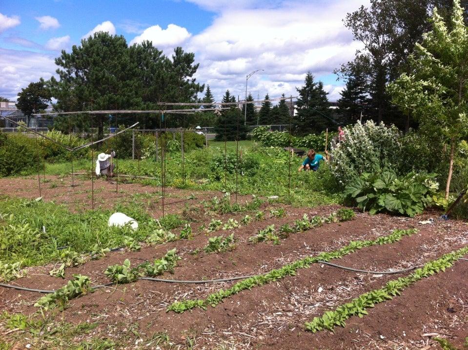 Jardin VIA-Agro-Écologie