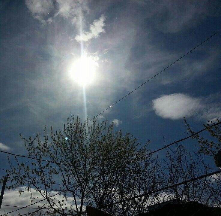 terasse des Paquette