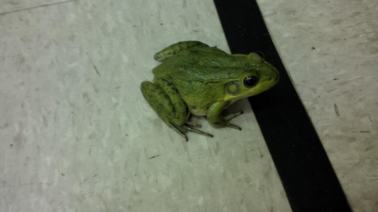 Westside Baptist Church