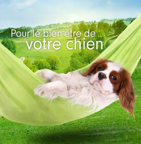 Centre Canin De L'ouest