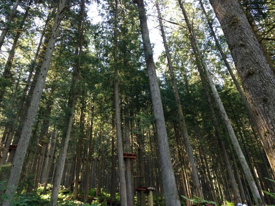 Skytrek Adventure Park