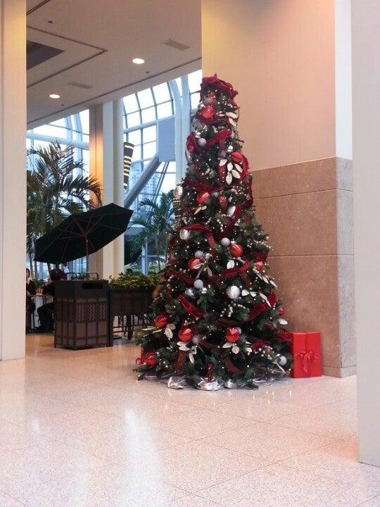 Timothy's World Coffee