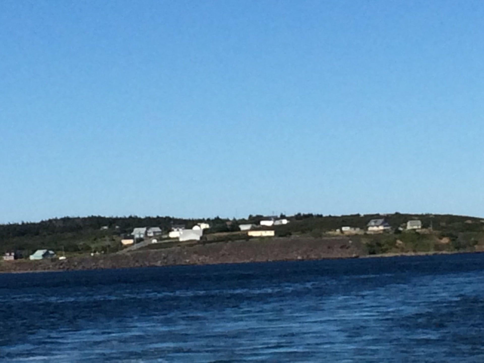 Mariner Cruises Whale and Seabird Tours