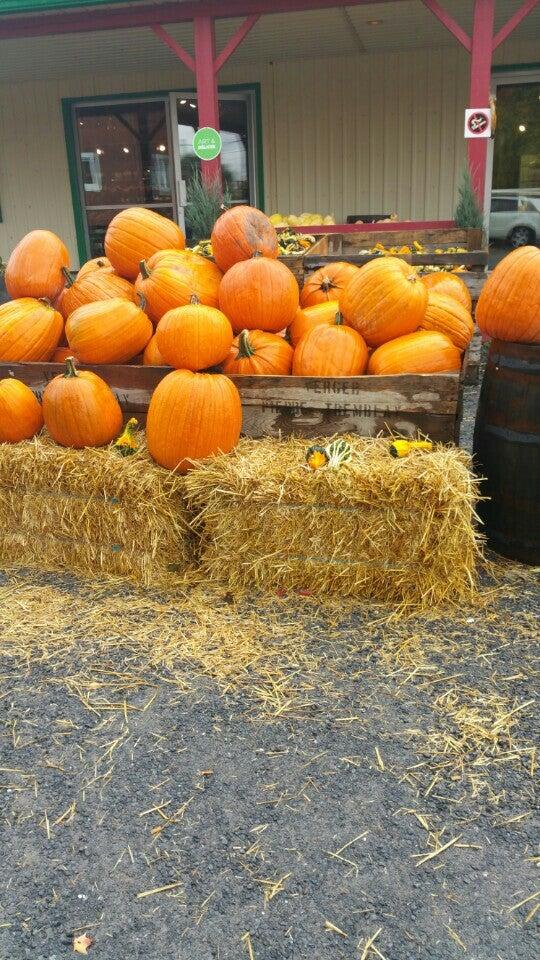 Vergers Pierre Tremblay & fils Inc.