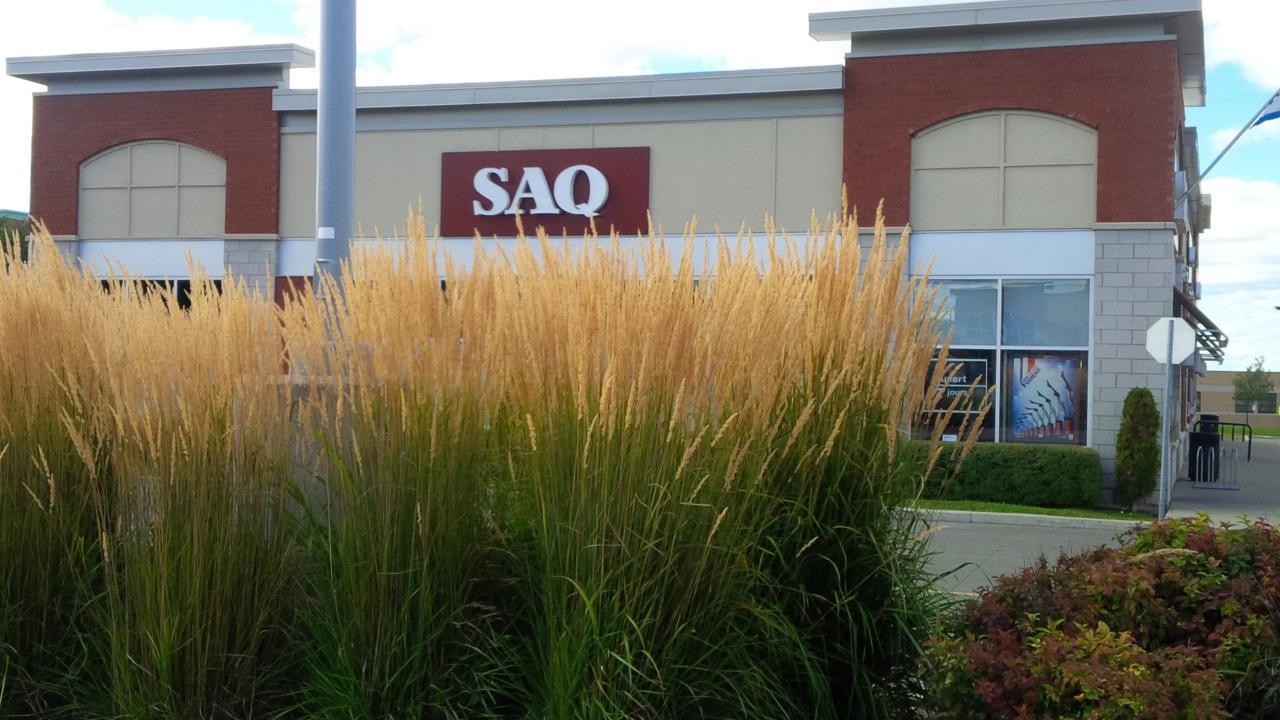 SAQ