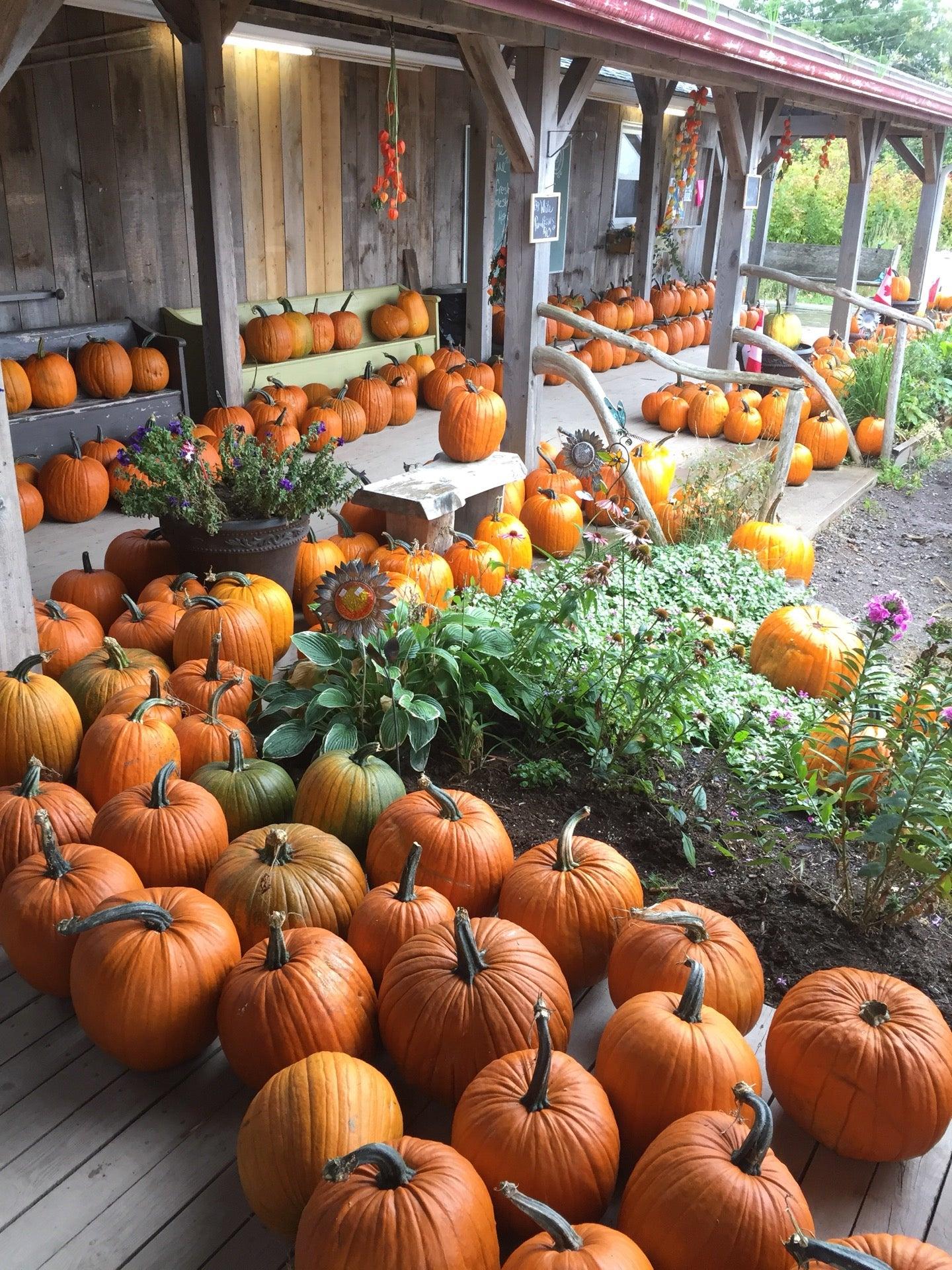 Green Pig Country Market