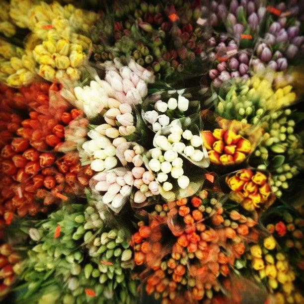 Young Jong Fruit & Flower Market