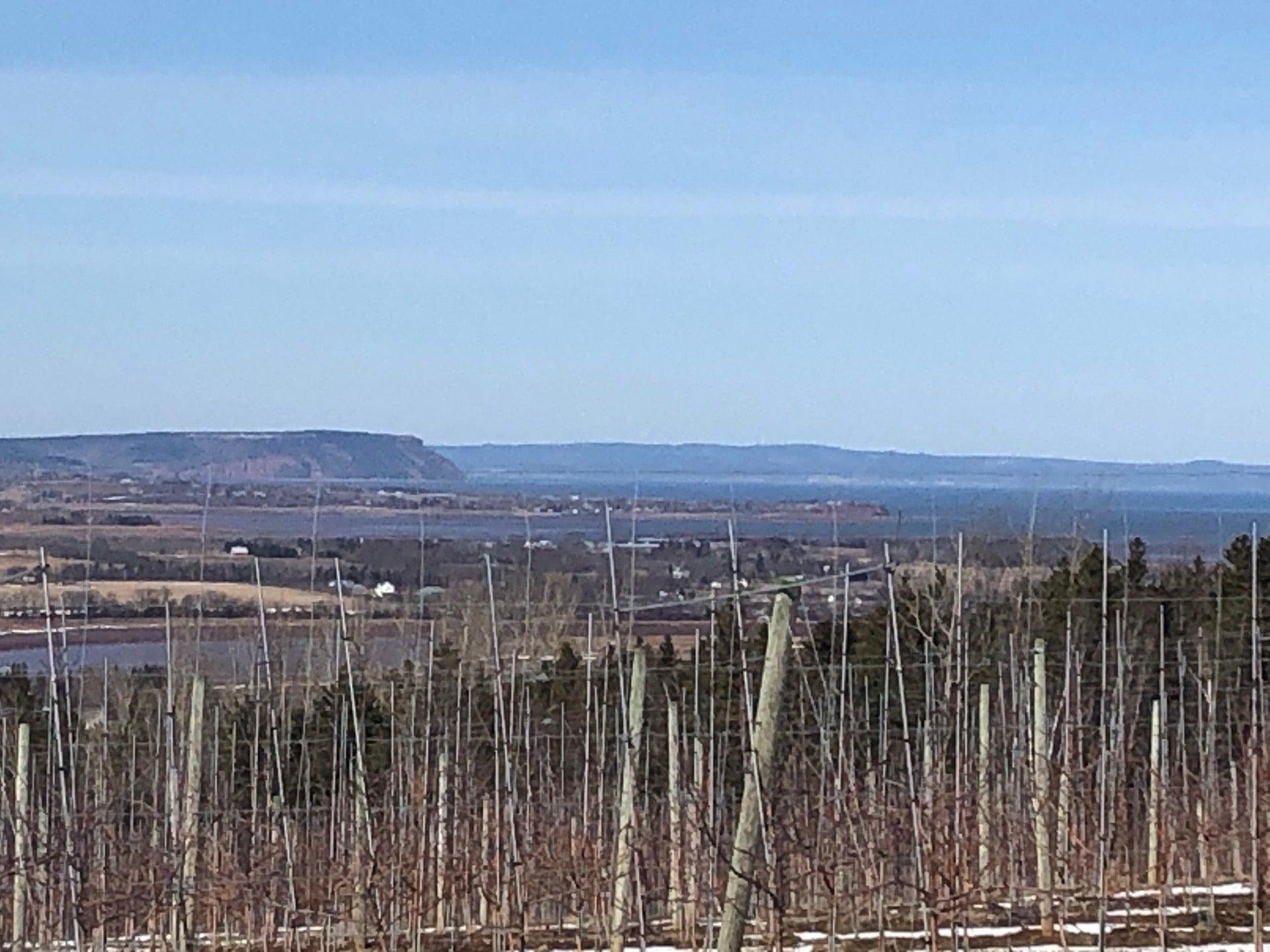 Crossroads Restaurant