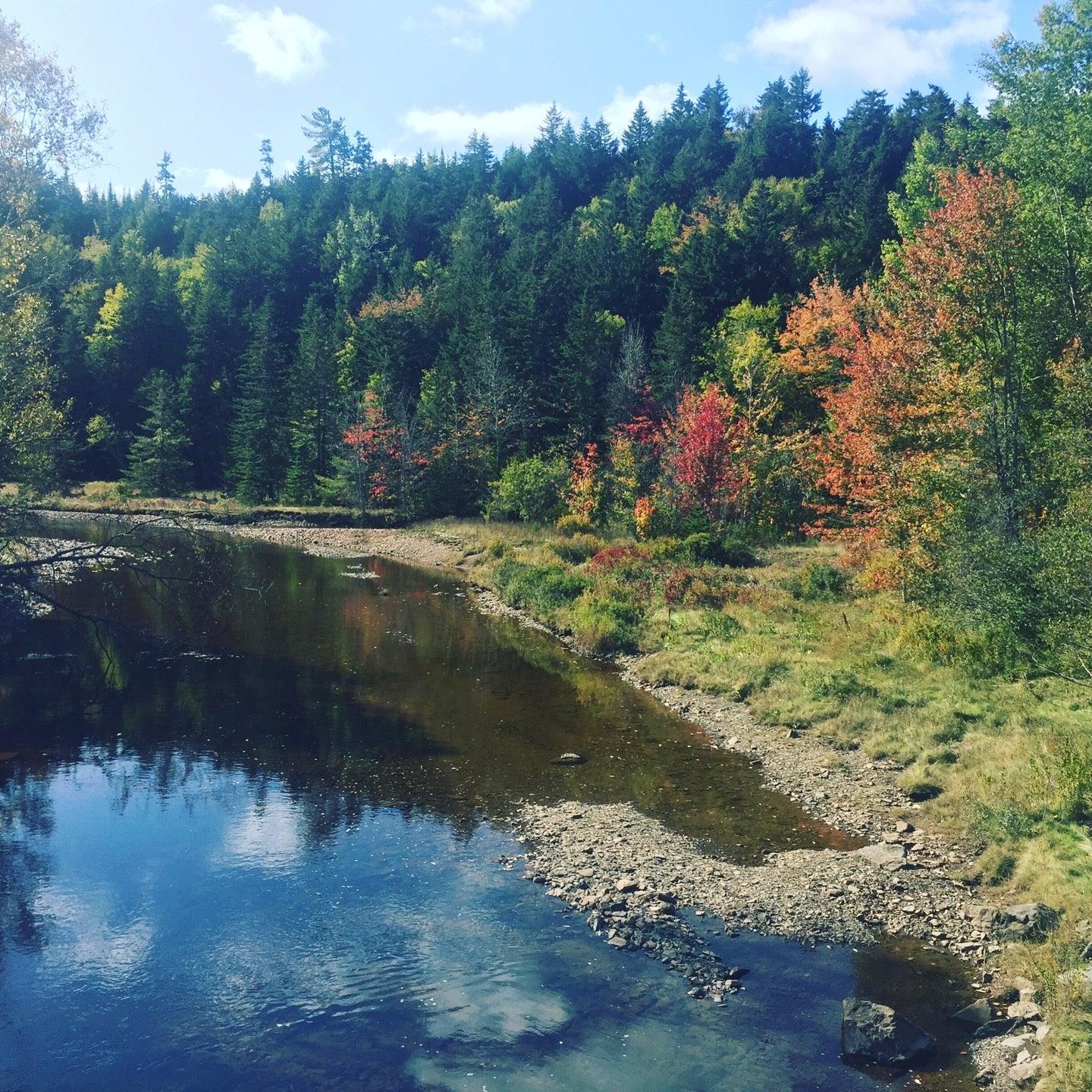 Hunter's Mountain Chalets