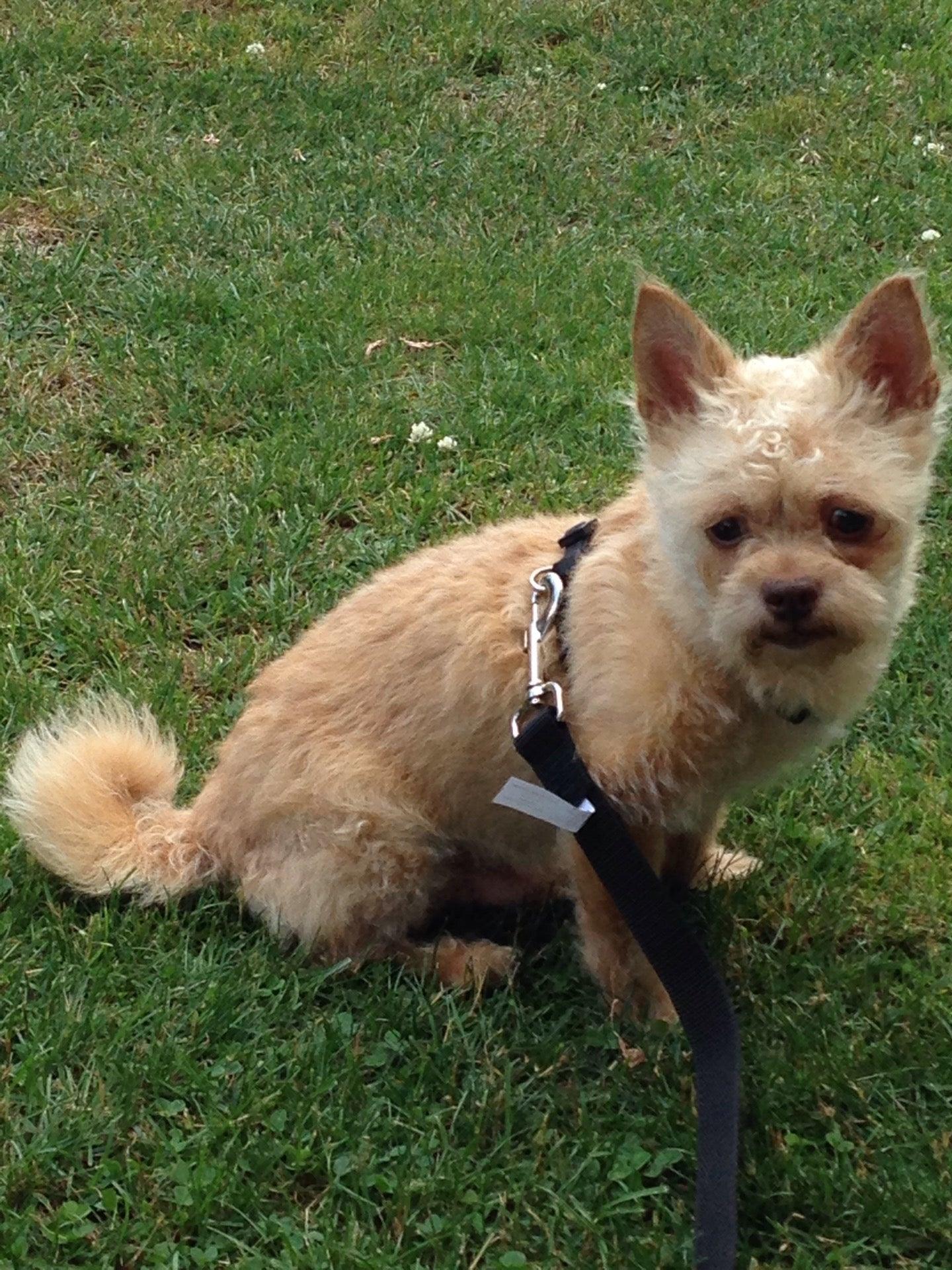 Singleton Lake Family Campground