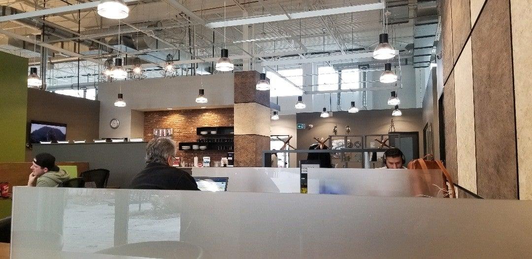 Loyal Order - a Strategy & Media Agency