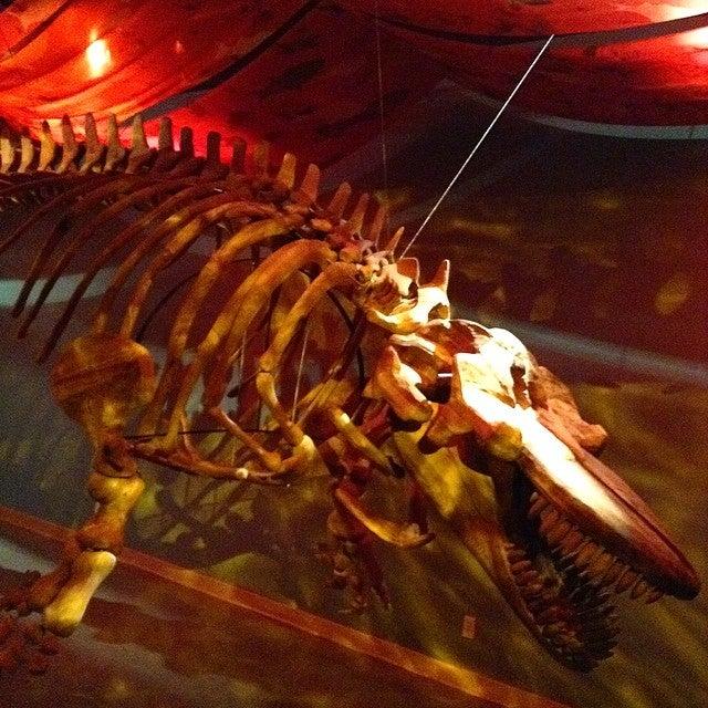 Grey Roots Museum & Archives