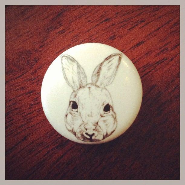 Rabbit Dash Coffee House