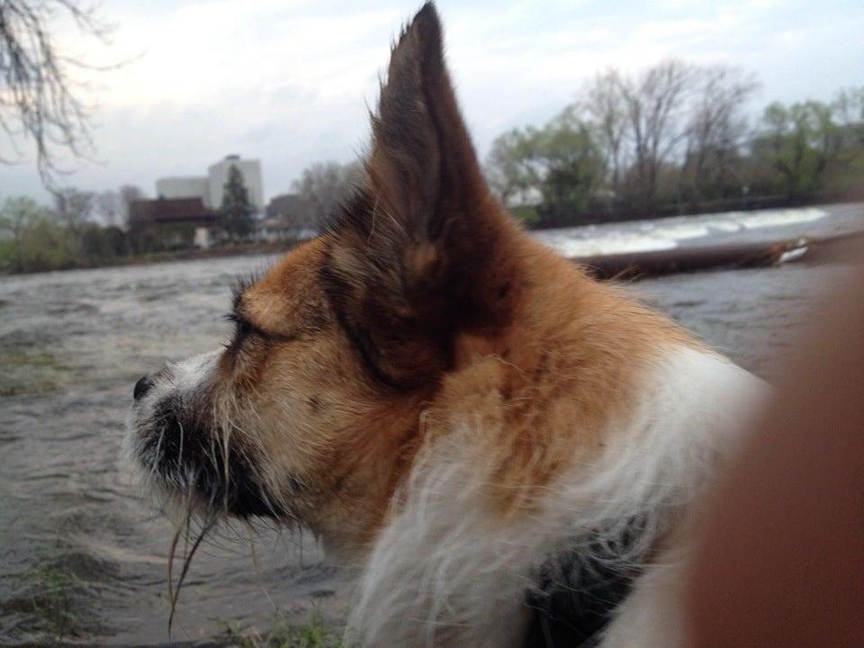 Rideau River Fording Place