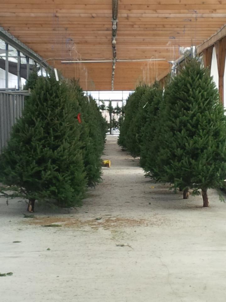 Centre Jardin Varennes