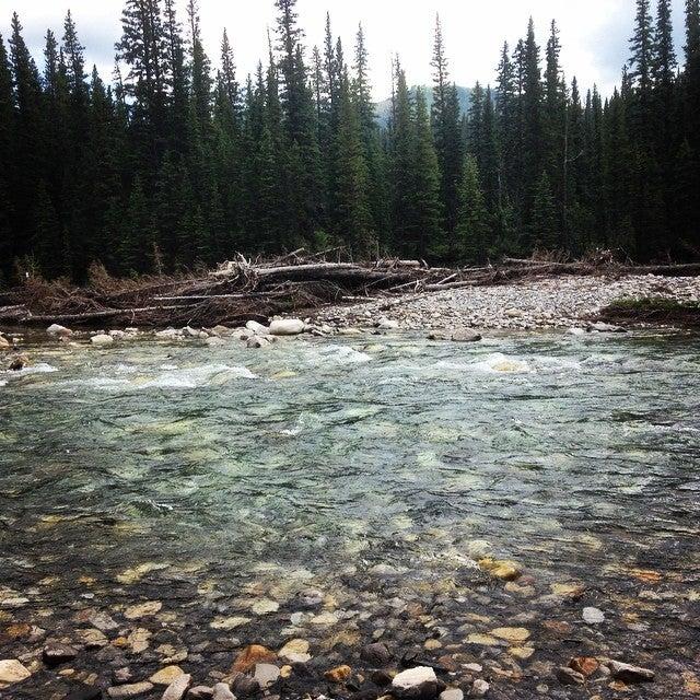 Elbow Falls