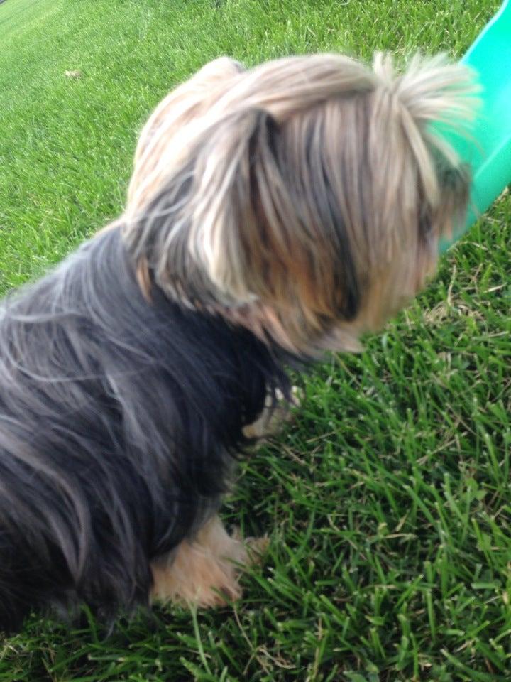 Sir John A Macdonald