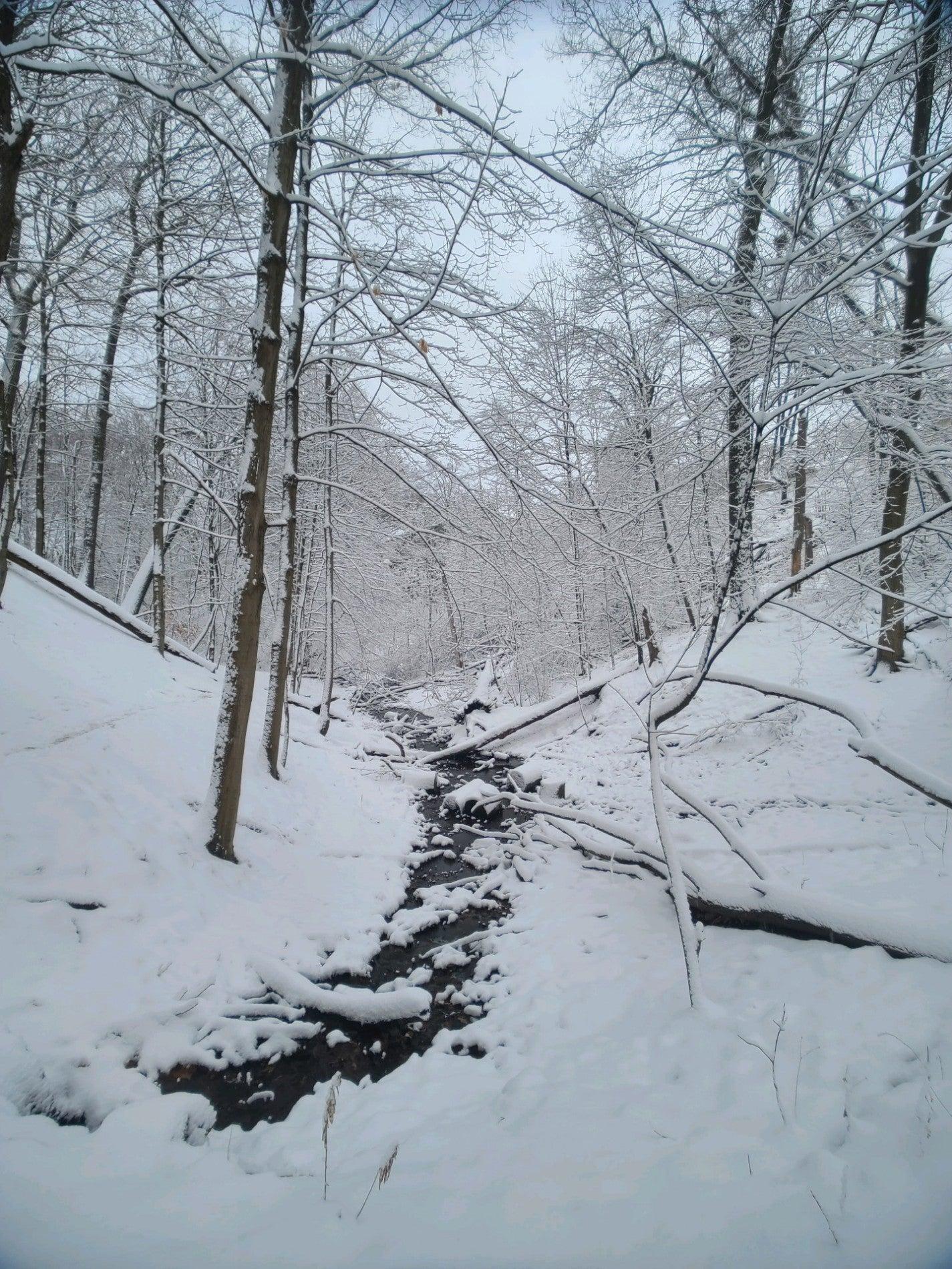 Williamson Park Ravine