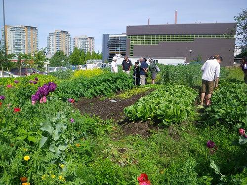 UBC Faculty of Land and Food Systems