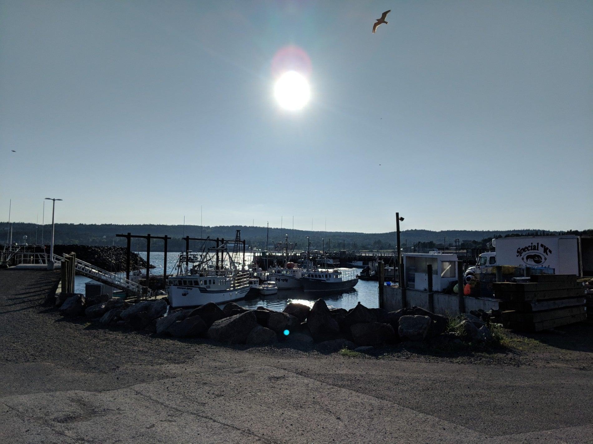 Grand Manan Ferry Terminal